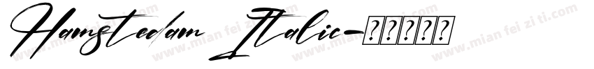Hamstedam Italic字体转换